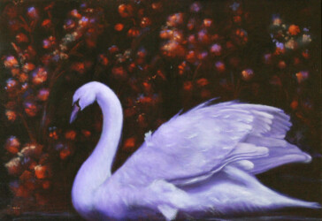 'Moonlit' by Tricia Migdoll