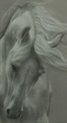 'The Gray' by Tricia Migdoll