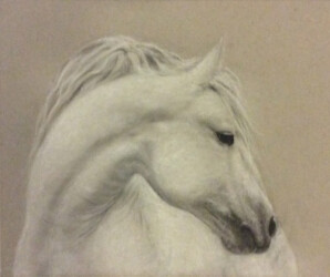 'White Horse' by Tricia Migdoll